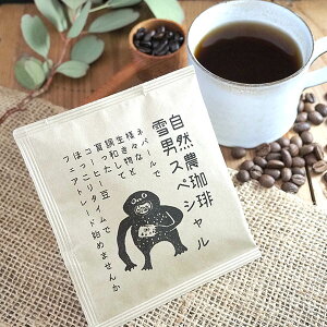 jXyV hbvpbN1t tFAg[hR[q[ I[KjbN _͔| lp[x j v`Mtg cƓy[fUCmakirasz