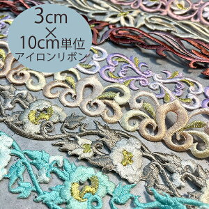 3cm AC{ [^XhJACby {^jJ ԕ cƓynEBfR[Vz