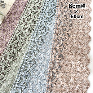 8cm ҂݃`[thJ[X P~J[X _XRX`[ tp[c g[V[X cƓynEBfR[Vz