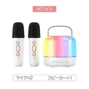 JIP }CN bluetooth5.3 |[^uXs[J[ 4ʂ̍Đ@ }CN2{ u[gD[X USB Type-C AUX TFJ[h ڑ MiNi ƒ }WbN{CX CX}CN  yĐ  VN