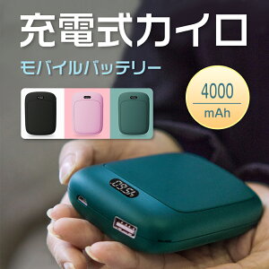 エコカイロ その他の健康グッズ 通販 価格比較 価格 Com