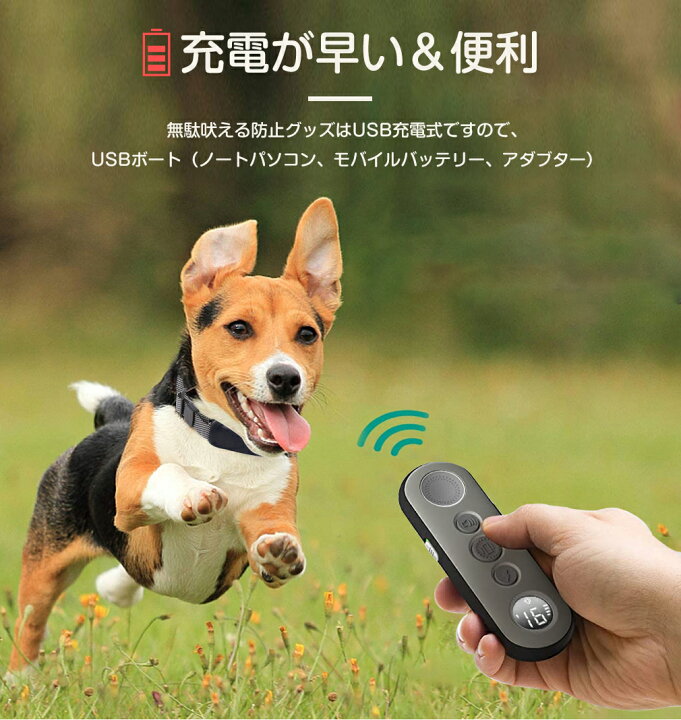 楽天市場 21最新 犬 無駄吠え 無駄吠え防止 防止 首輪 小型犬 グッズ リモート 遠隔訓練 ムダ吠え 防止器 充電式 Ipx7防水 トレーニング 犬しつけ 犬用 ３モード 噛み癖 静電気 グッズ 振動 全犬種対応 電気ショック トレーナー ギフト プレゼント 福袋 オンリー