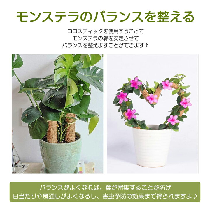 Mantrahua 植物支柱 観葉植物 園芸支柱 つる性植物 植物ネクタイ ココナッツ支柱 植物ラベル