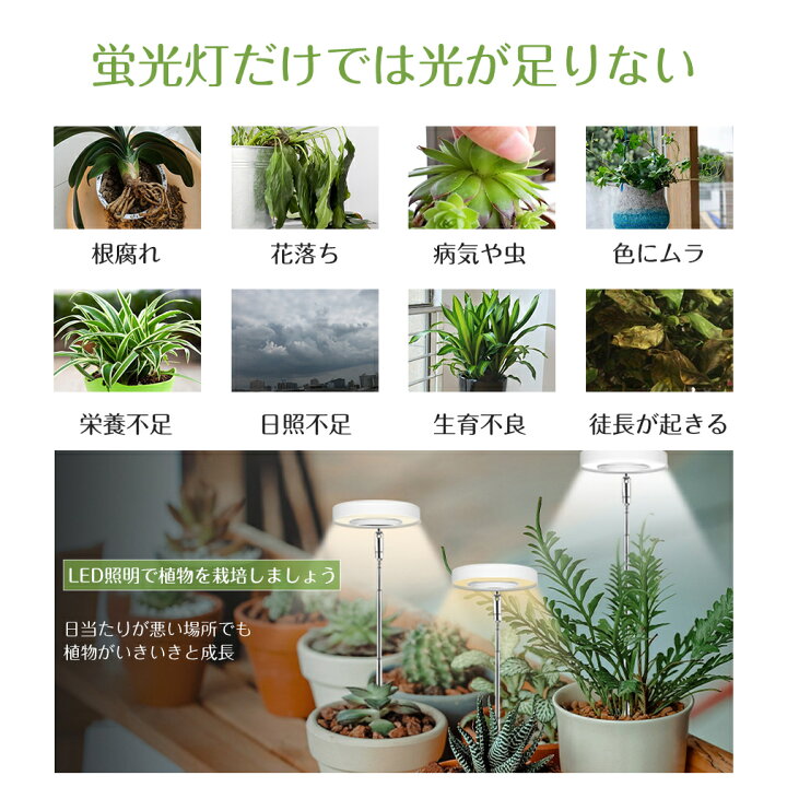 楽天市場】植物育成ライト 植物育成 ライト LED 観葉植物ライト 無段階 