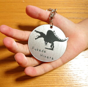 恐竜 キーホルダー その他のアクセサリーの人気商品 通販 価格比較 価格 Com