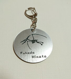 恐竜 キーホルダー その他のアクセサリーの人気商品 通販 価格比較 価格 Com