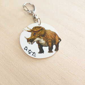 恐竜 キーホルダー その他のアクセサリーの人気商品 通販 価格比較 価格 Com