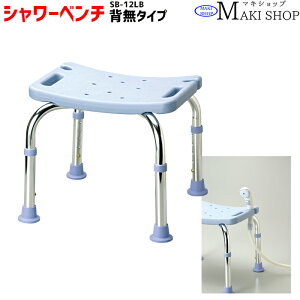 �V�����[�x���` ���C ��� �C�X �w���V�����[�x���` �~�j�^�C�v �V�����[�x���`Mini ���C�g�u���[ SB-12LB ���̓� ��̓� �v���[���g �� �c�� �c��