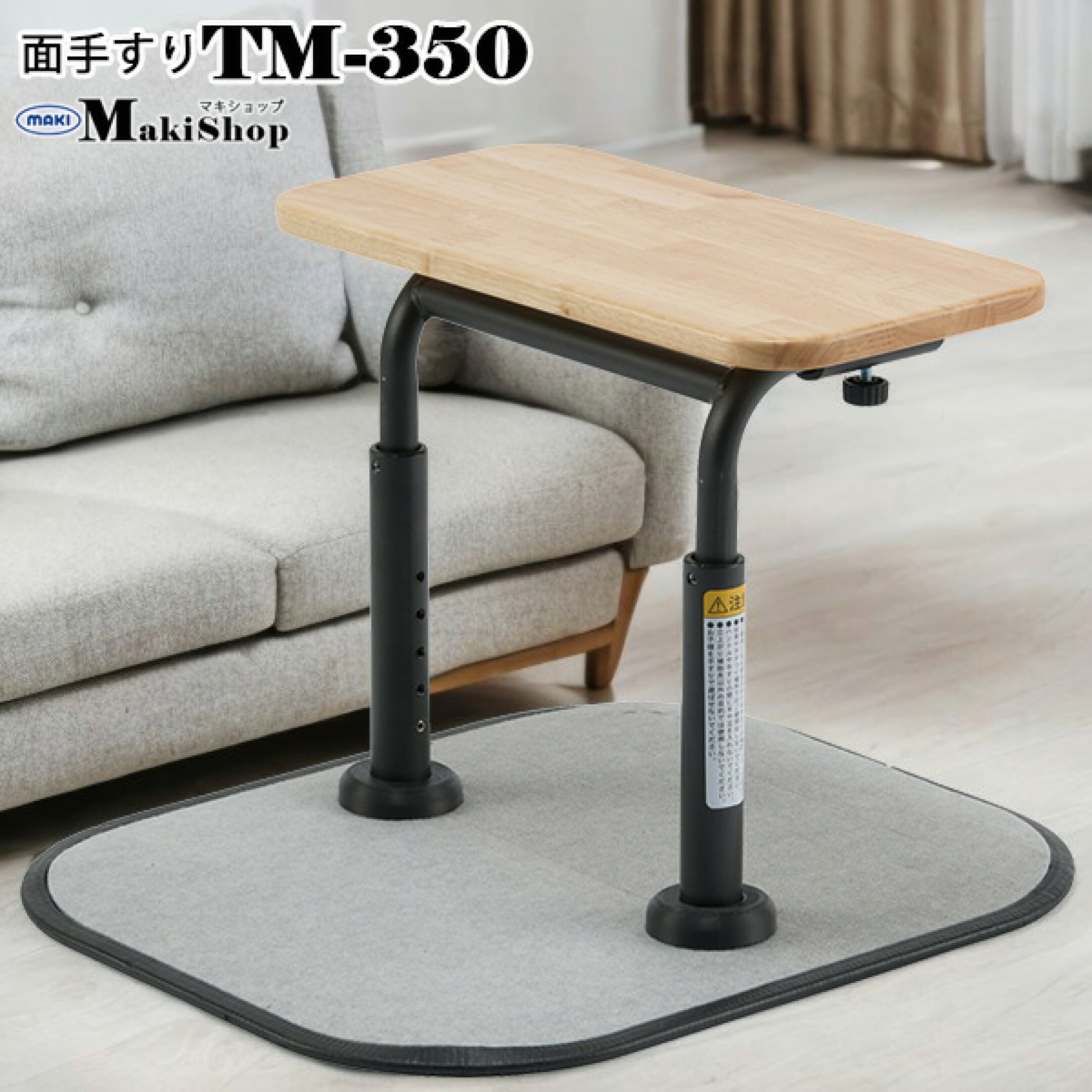 TM-350　面タイプ手すり