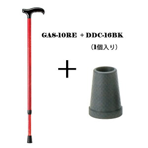 XebL  pi   Lk  Jt S }LebN GAS-10RE(bh) hV̓ v[g  c