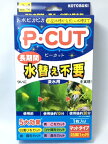 ピーカット(P-CUT)　マットタイプ　1枚入り