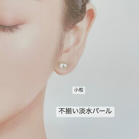一粒淡水パールピアス イヤリング 淡水パール チタンピアス 小粒 ピアス 大人コーデ パーティーアクセ シンプル クリスタル 不揃い クリスマス 成人式 撮影 卒業式 入園式 ハンドメイドアクセサリー ギフト 金属アレルギー シンプルコーデ