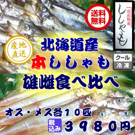 楽天市場 北海道 本ししゃもの通販
