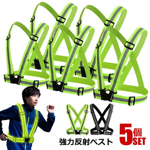 5Zbg ˃xXg  SxXg WLO jO EGXgTCY 65`100cm jOxg jp S`bL ̎U l q ˔  BESUREF