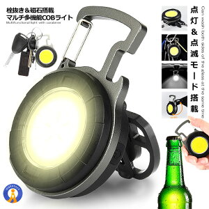 LED Cg COB ^ [d }` 𔲂 }Olbg Jri AEghA oR ނ RpNg [NCg Lv X^ht Px USB[d  TAKOCOBL