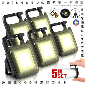 5Zbg LEDCg ^ RpNg hЃCg COB [d 800LM @\ Jri 𔲂 Ɠ oR ނ EH[LO ЊQ  Px LED  CCOBSR