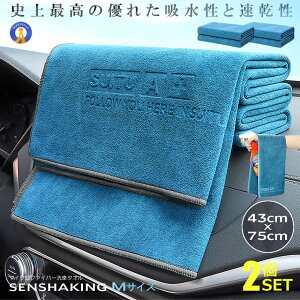 |Cg5{yVX[p[Z[ 2Zbg ԃ^I MTCY 唻 }CNt@Co[ zQ 35cmx75cm  O  z z ꗎQ ֗ J[pi | | N[j
