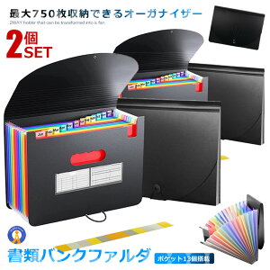 2Zbg ގ[t@C 750[ A4 13|Pbg ރP[X ^ ΂ ސ AR[fBI ₷ ރoNtH_ ۊǃP[X }`  DDOCFAR-13