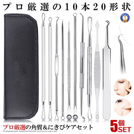 20本セット 角栓 ニキビケア 収納ケース付き ニキビ 角栓 取り 毛穴ケア 鼻 黒ずみ ステンレス 角栓取りスティック 角栓除去 ニキビ ピンセット 毛穴キット 毛穴ケア 送料無料 STESPA