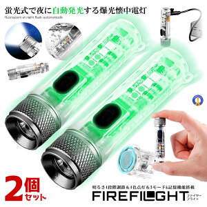 2Zbg d LED [d u 4FCg UVO  L@\ h  ^ COB }Olbg z_t Ɠ t@C[tCg h ЊQ  FIREFLIGHT