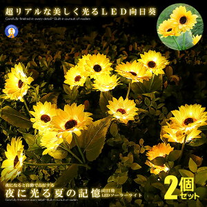 2Zbg Ђ܂ K[fCg LED 31{  K[fjO  z \[[[d _  킢 o \[[Cg q}h ЊQ  HIKAHIMA