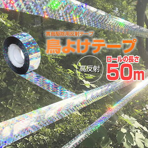 5Zbg 悯e[v 50m Q΍ JX悯  悯  zO ʎ K[f 쏜 co΍ Q h  K[f  z ƒ؉ Q쏜 TOTEPE2