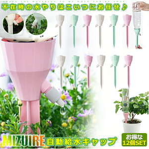 12Zbg ϗtA Lbv   Aؔ A 璆 | ~ h{  ybg{g  蓖 K[fjO  6-MIZUIRE