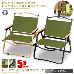 |Cg5{yVX[p[Z[ 5Zbg AEghA `FA Green ACAf 1lp ܂肽 Lv `FA LsO `FA gsv [`FA Lv ֎q BBQ [`