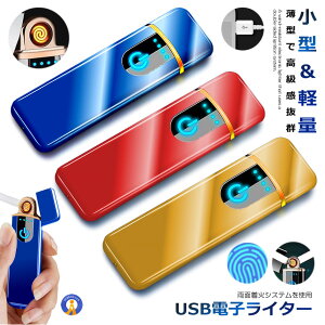 電子ライター USB 防風 プラズマライター ガスオイル不要 近未来 タッチスイッチ 軽量 安全着火 プレゼント USB充電 ターボライター プレゼント 両面着火 送料無料 DERAI