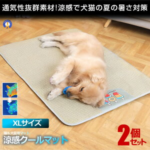 2Zbg ybgp  ybg}bg N[}bg XLTCY xbh  L Ђ}bg L    Ђ ybg}bg ⊴ ΍ v x  DOG9070-XL