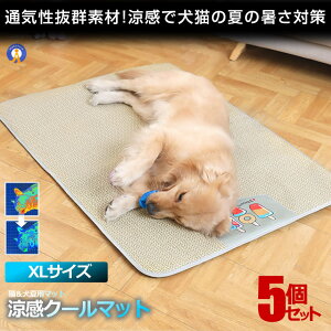 5Zbg ybgp  ybg}bg N[}bg XLTCY xbh  L Ђ}bg L    Ђ ybg}bg ⊴ ΍ v x  DOG9070-XL