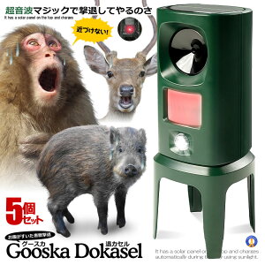 g ފ  JX L    Qb΍퓮ǂ L ̓tbVCg \[[ 悯 Q쏜 gϊg LEDtbVv  HENONJU