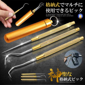 格納式 ピック セット ステンレス 爪楊枝 ケース 3種類 つまようじ 携帯 キーホルダー 持ち歩き 携帯 リング カバン 工具 マルチツール 精密 ピン 作業 便利 グッズ 送料無料 GOLDSET