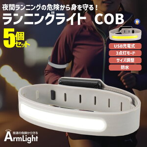 jO Cg LED COB A[oh 3[h _ USB[d Px AEghA EH[LO WMO U S  h y ARMRAI