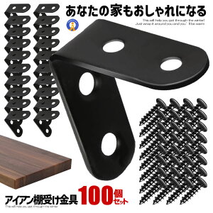 _|Cg5{9/25^ ACAI󂯋 100Zbg 40mm DIY bN nk ]| Ƌ Œ L p[c ֗ ubN jOƋ  Ƌ⋭  20-IROKANA