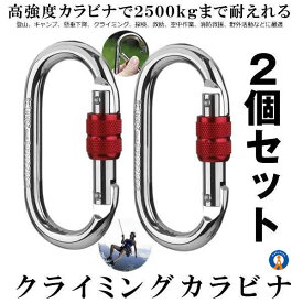 登山用 山登り用 カラビナ 25KN 2個セット 強高度カラビナ クライミングカラビナ ハードスチール 登山用具 キャンプ 高強度 空中作業 野外活動 送料無料 2-KARABI25
