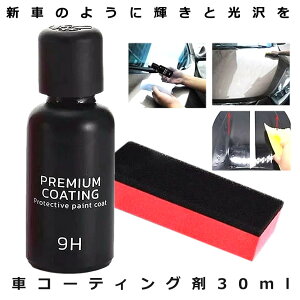 P5{IubNtCf[ tBbNX}bNX2 ԃR[eBO t̃Z~bNR[g 30ml  P KXd KXR[eBO X|Wt ΂  h~ ΍  