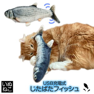 L ΂tBbV Lbgjbvt d USB[d ˂ L̂   ʂ˂