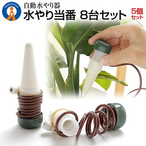 P5{IubNtCf[ 16Zbg ϗtA    Aؔ ϗtA 璆 s | ~ h{⋋  TCtH ϋv 蓖  8-MIZUTOUBAN