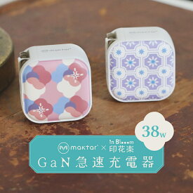 【印花樂コラボモデル】Maktar 38w急速充電器 2ポート 台湾モチーフプリント（PD 充電器 USB-C USB-A 超小型）PSE技術基準適合 iPhone 12 / 12 Pro iPad Air(第4世代) Android Switch その他 マクター