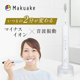 【Makuake公式】 電動ブラシ 電動歯磨き 電動 歯磨き 虫歯予防 音波振動歯ブラシIONPA home DH-411 イオン電動歯ブラシ マイナスイオン 歯垢 歯石 高機能 タイマー付き 音波振動 健康 歯の健康 電動ブラシ Makuake マクアケ
