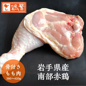 yzt { [Xg`Lp  bO 1{ (320`380g) Y { 茧Y 암Ԍ{ 񂹃OVN NxQ W[V[ BBQ OsO LO a p