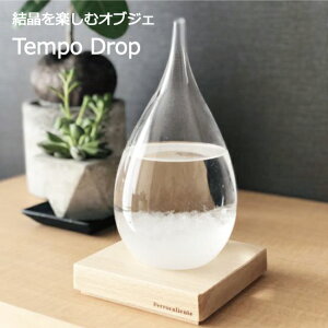 Xg[OX e|hbv Tempo Drop Mtg  bsO 100percent ^ CeA IuWF    j  蕨 G KX a j v[