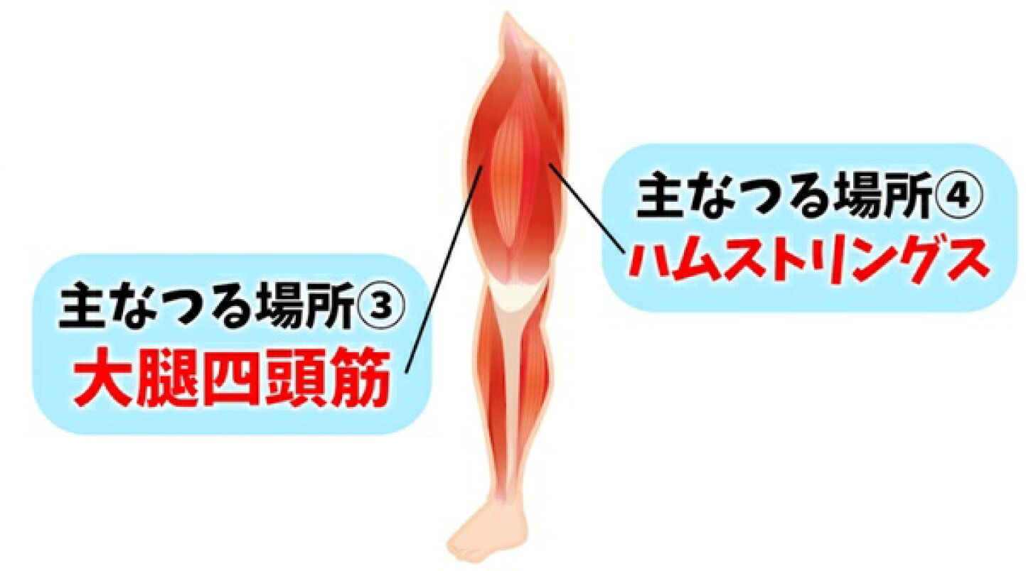 太もも つる 原因