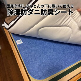 除湿防ダニ防臭シート 洗える 洗濯 除湿 防ダニ ダニ予防 防臭 抗菌 臭くない 繰り返し使える 繰り返し 除湿シート 防ダニシート 防臭シート シングルサイズ 90 x 180 cm シリカゲル 布団 ベッド ふとん マットレス