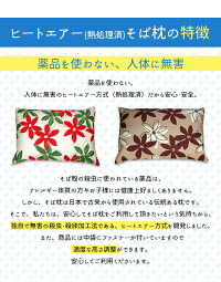【送料無料】ヒートエアー(熱処理済)そば枕2個セット大サイズ