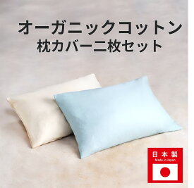 【送料無料】枕カバー 和晒し ダブルガーゼ 2枚セット ファスナー付き 綿100パーセント 43× 63センチ【ガーゼ 和晒し 国産 日本製 ピロー ピローケース さらさら 天然繊維 ベージュ ブルー ピンク スモーキーブルー 生成り チェリーブロッサム 】