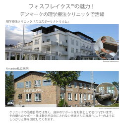 フォスフレイクスクラシックハーフボディピロー80×80cm