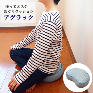 PILOX'S AObN NbV tANbV ɑ΍   ֎q y Sy ݑ[N ݑΖ [g[N e[N  XeCz[ hV̓