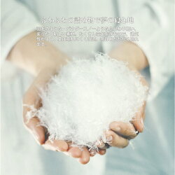 fossflakes(フォスフレイクス)スぺリオール60x63cmミディアムサイズ北欧デンマーク製ピロー抜群の寝心地デンマーク老舗ホテル採用